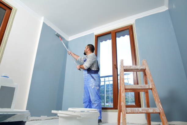 Best Emergency Mold Remediation  in North Webster, IN
