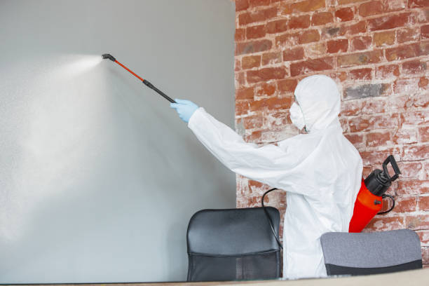 Best Dehumidification Services  in North Webster, IN