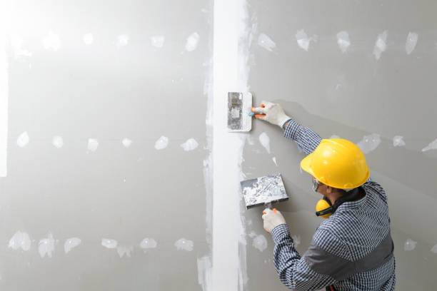 Best Biohazard Mold Removal  in North Webster, IN