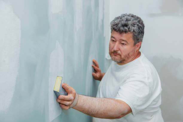 Best Emergency Mold Remediation  in North Webster, IN