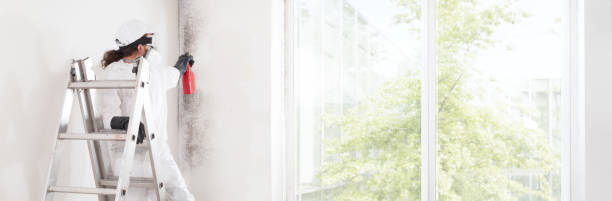 Best Comprehensive Air Testing for Mold Contaminants  in North Webster, IN
