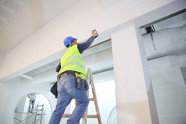 Best Mold Documentation for Insurance Claims  in North Webster, IN